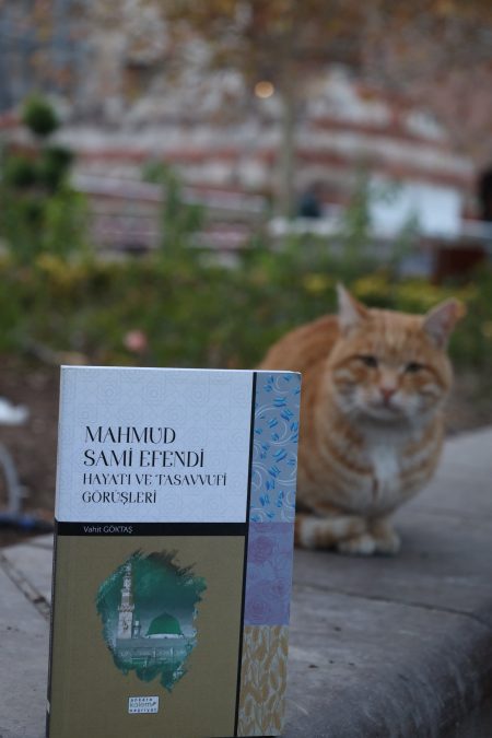 Mahmut Sami Efendi: Hayatı ve Tasavvufi Görüşleri